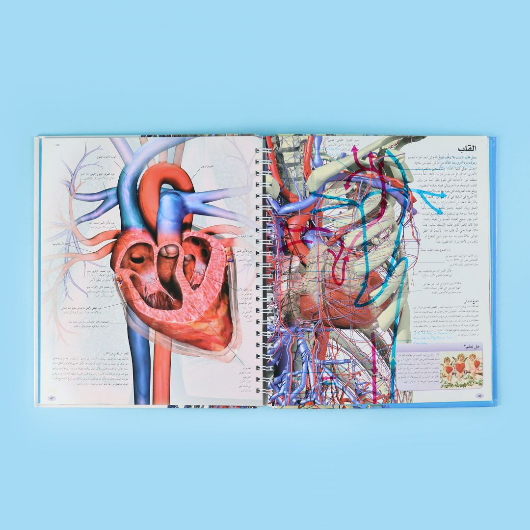 صفحات داخلية من كتاب جسم الإنسان الذي يشرح أجهزة الجسم وأعضاءه الداخلية وكيفية عملها برسوم وتفاصيل دقيقة