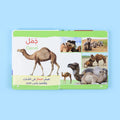 لمس صور الحيوانات والتعرف على أسمائها في كتاب مونتيسوري التفاعلي