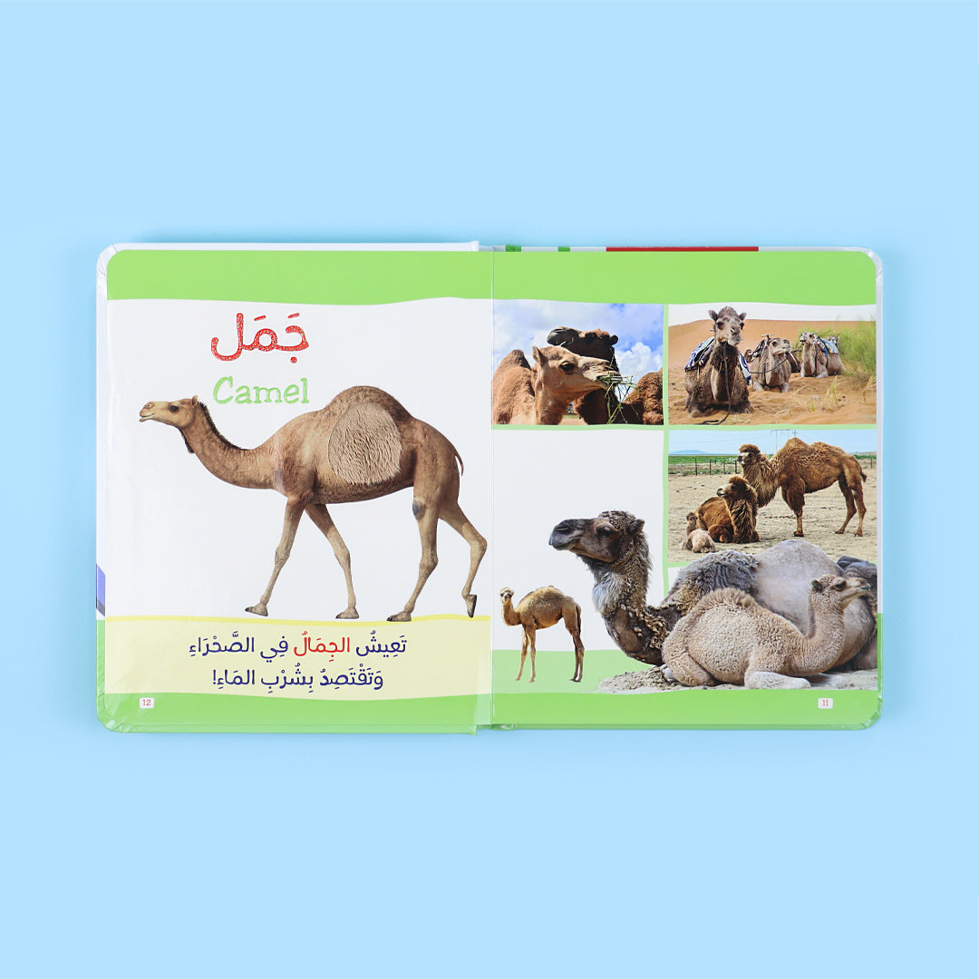 لمس صور الحيوانات والتعرف على أسمائها في كتاب مونتيسوري التفاعلي