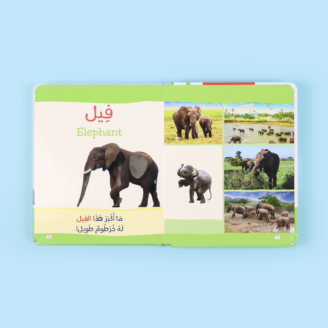 صفحات تعليم الحيوانات بملمس خشن لتحفيز الإدراك الحسي والبصري