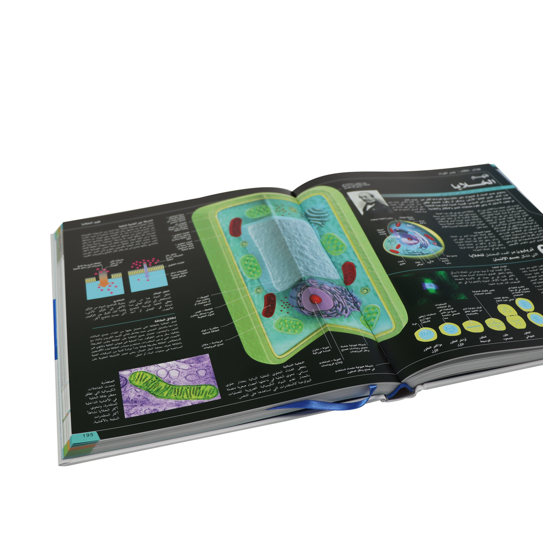 غلاف كتاب موسوعة العلوم عاماً بعام يعرض تطور الاكتشافات العلمية عبر الزمن