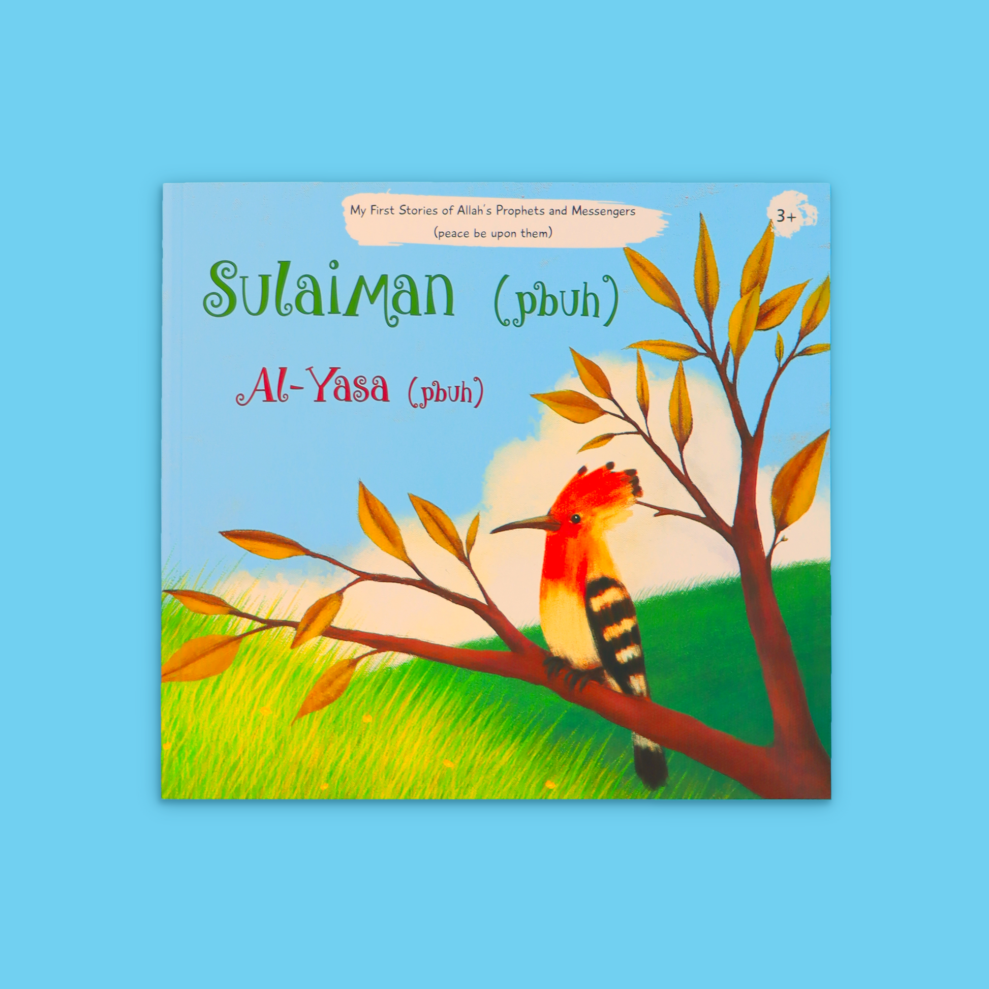 Books teaching Islamic values through stories of Prophets for kids